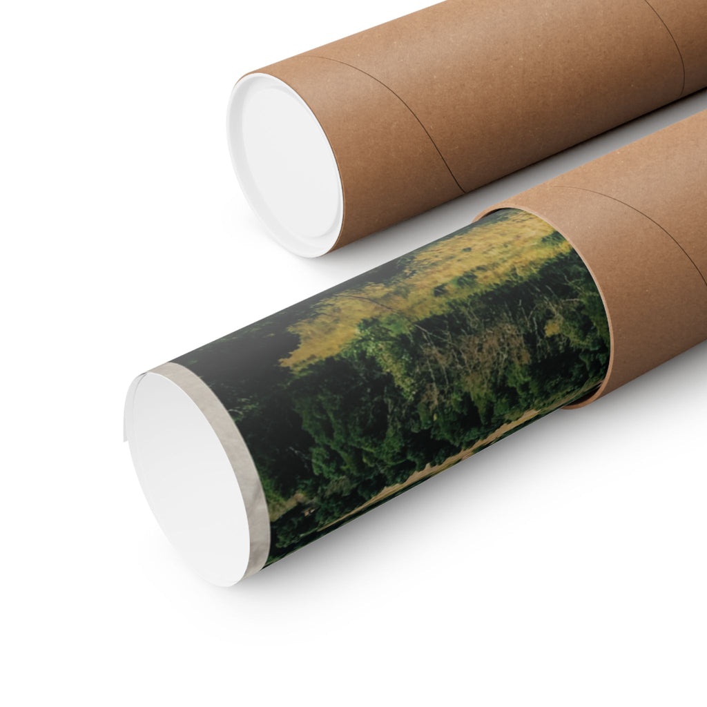 Jaaye - Billy Wonder's Magnificent Quest Poster