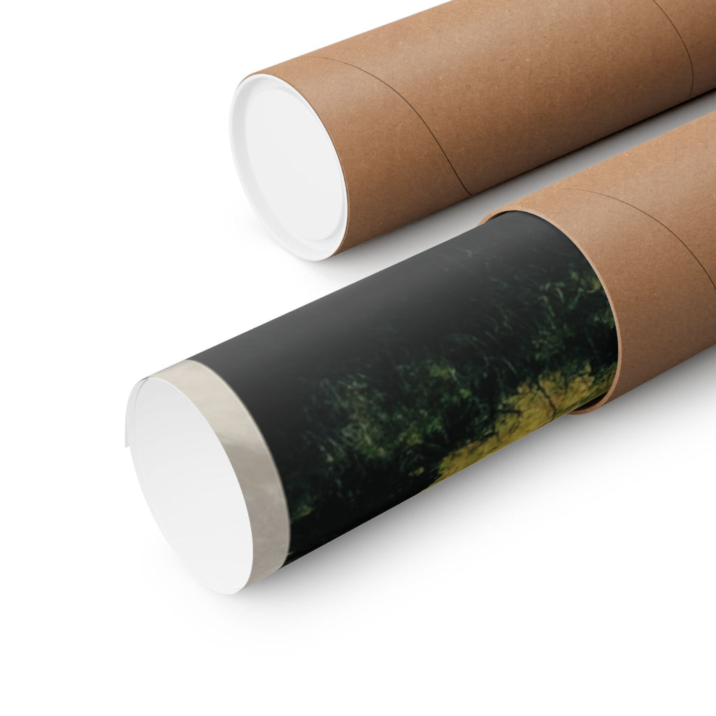 Jaaye - Billy Wonder's Magnificent Quest Poster